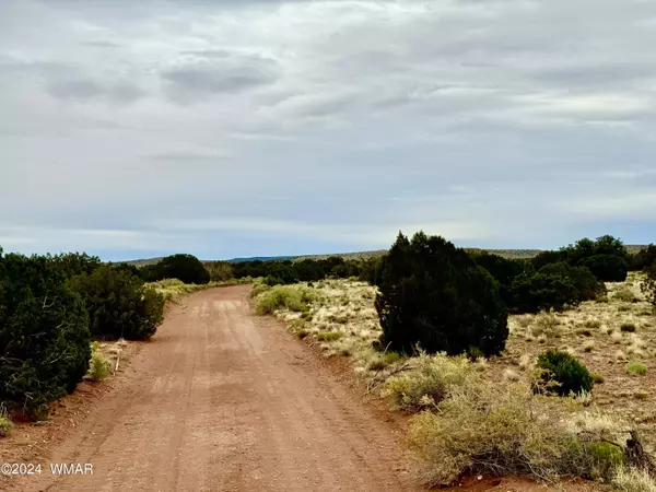 St. Johns, AZ 85936,Springs Ranch Unit 1 Lot 17