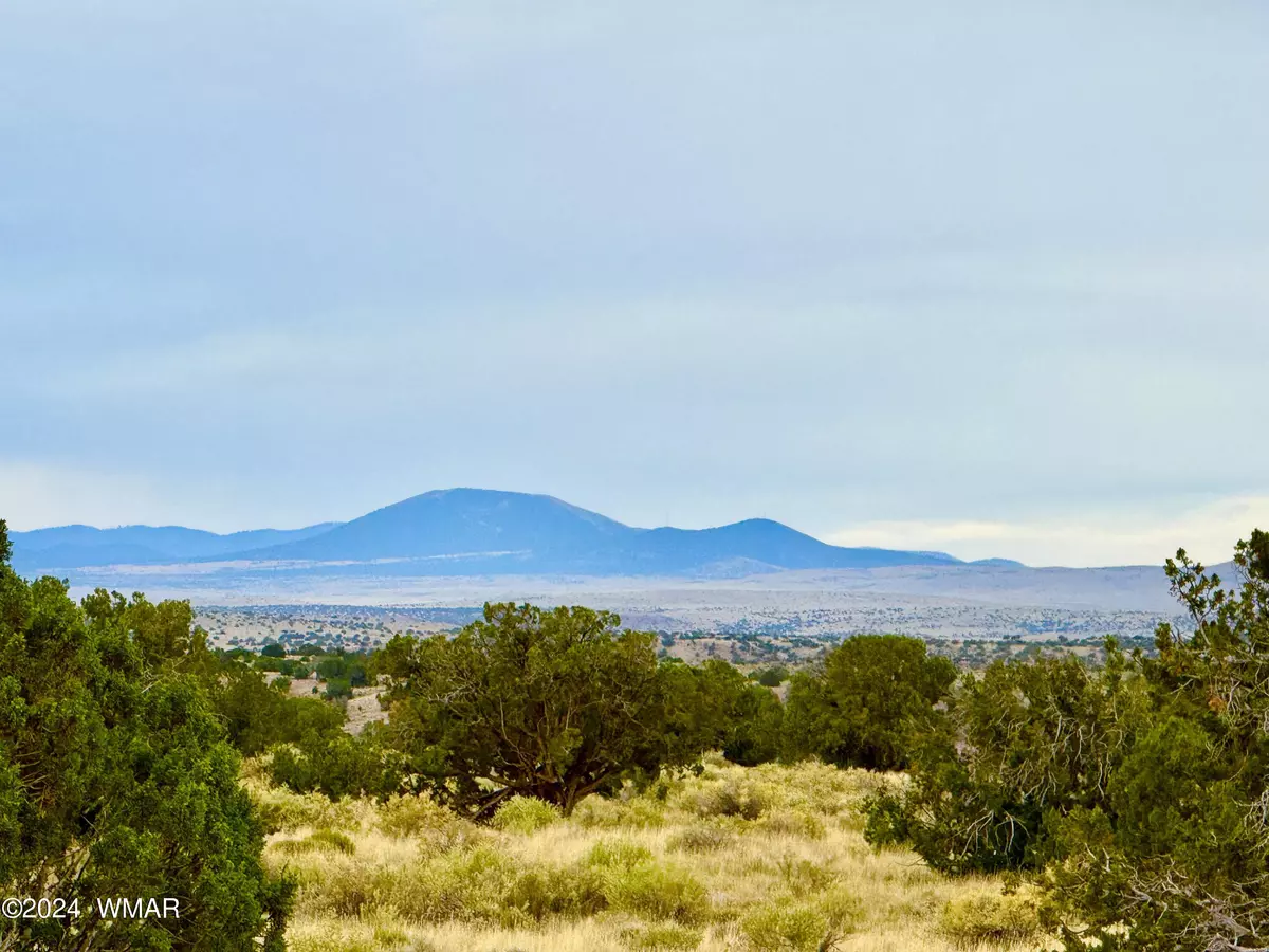 St. Johns, AZ 85936,Springs Ranch Unit 1 Lot 17