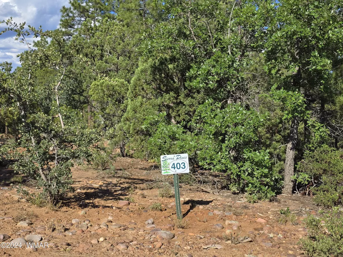 Show Low, AZ 85901,2335 S Twin Peak Trail