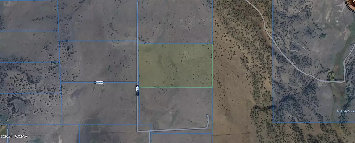 Concho, AZ 85924,36 acres in Cedar Gulch Ranch