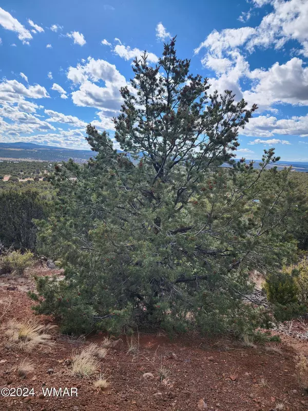 Vernon, AZ 85940,29 N 3313