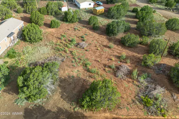 Show Low, AZ 85901,1774 Thorn Place