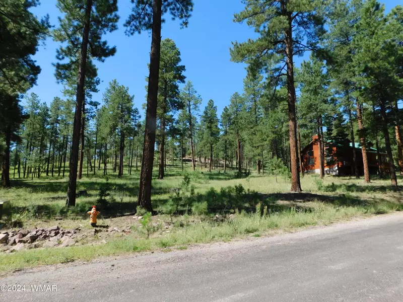 12 County Road 2194, Alpine, AZ 85920