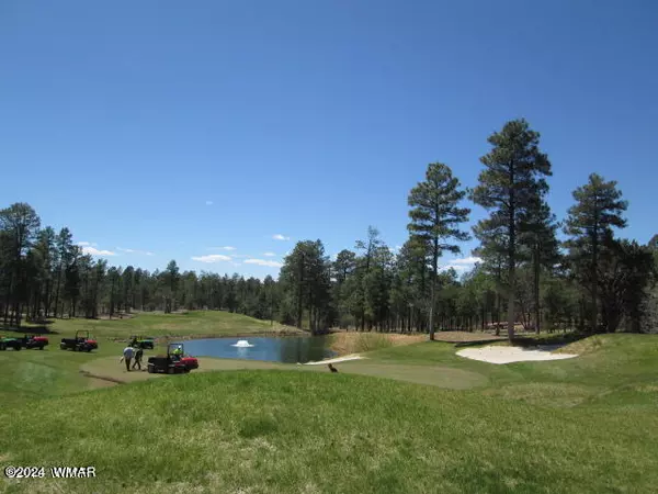 4260 W Sugar Pine Loop, Show Low, AZ 85901