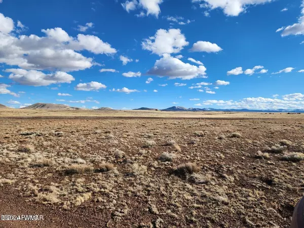 Concho, AZ 85924,110 N3494