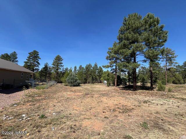 Show Low, AZ 85901,340 N Fox Run