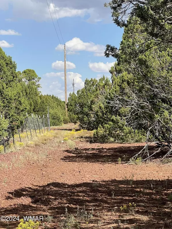 Vernon, AZ 85940,59 N 3131