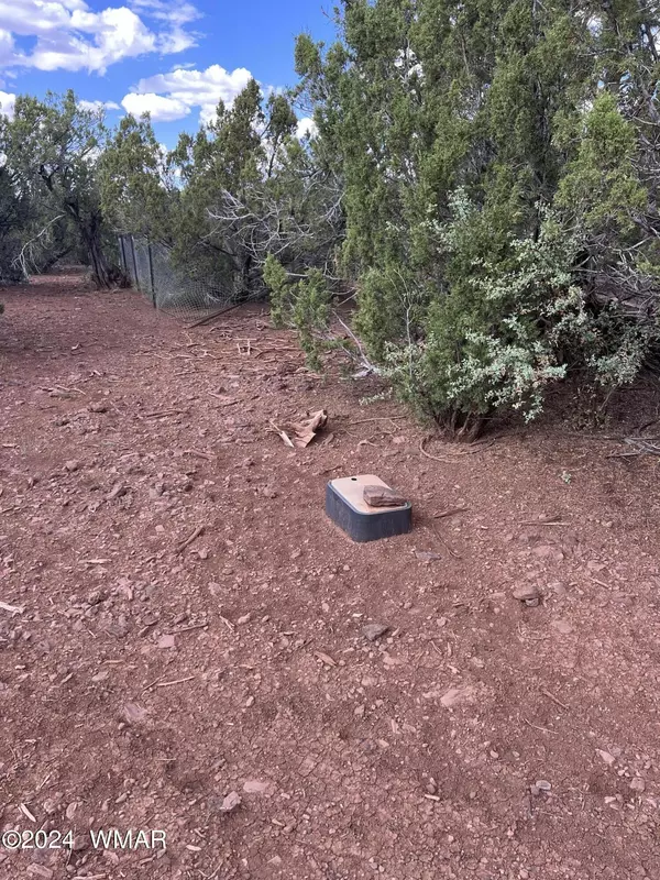 Vernon, AZ 85940,59 N 3131