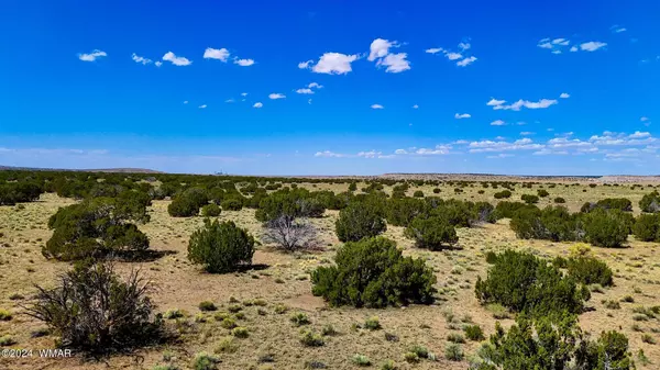 St. Johns, AZ 85936,N6655 40.45 Acres