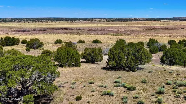 St. Johns, AZ 85936,N6655 40.45 Acres