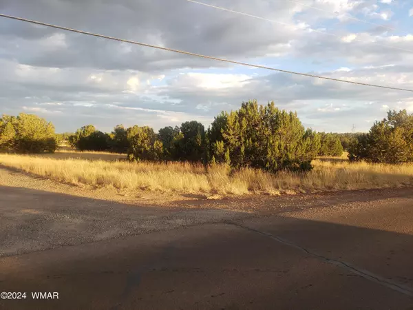 1933 Silver Lake Boulevard, Show Low, AZ 85901