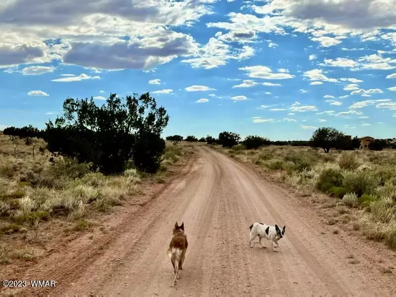 Snowflake, AZ 85937,7668 Kasias Trail