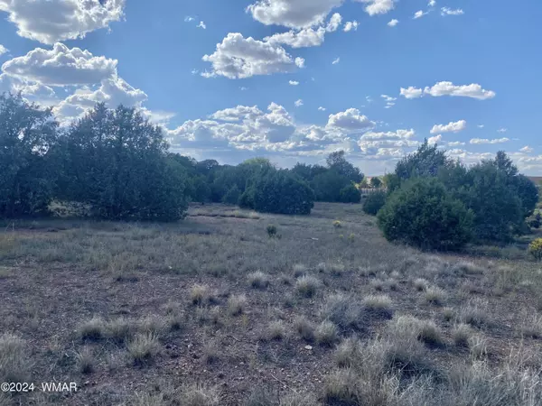 Clay Springs, AZ 85923,2146 Copper Road