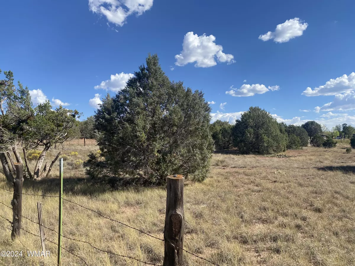 Clay Springs, AZ 85923,2146 Copper Road