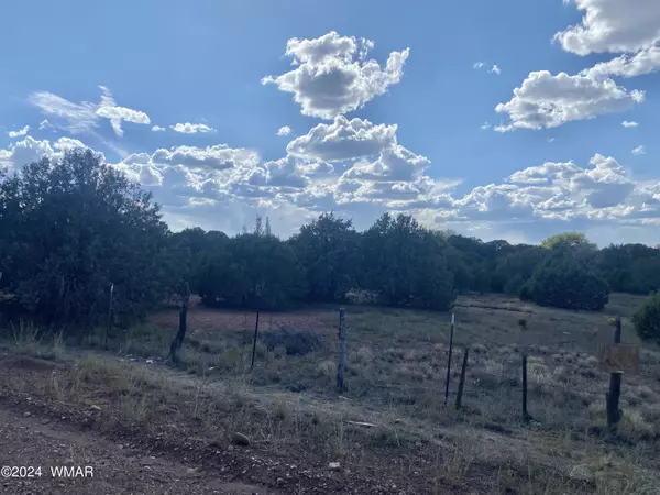 Clay Springs, AZ 85923,2146 Copper Road