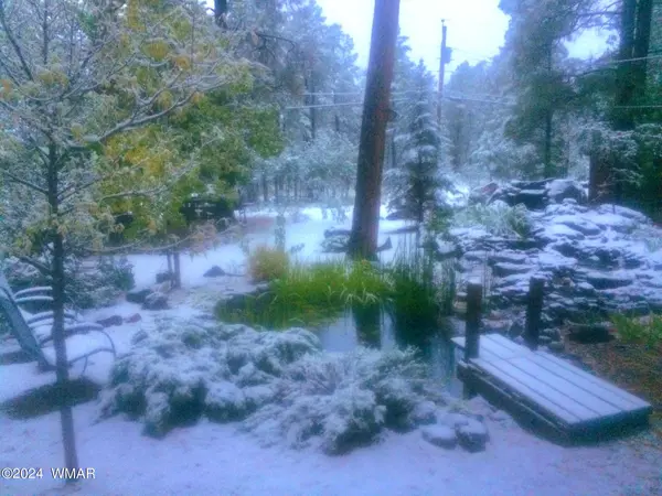 Pinetop, AZ 85935,696 S Adair Springs Lane