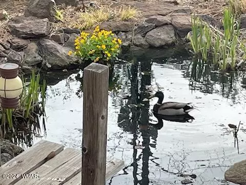 Pinetop, AZ 85935,696 S Adair Springs Lane