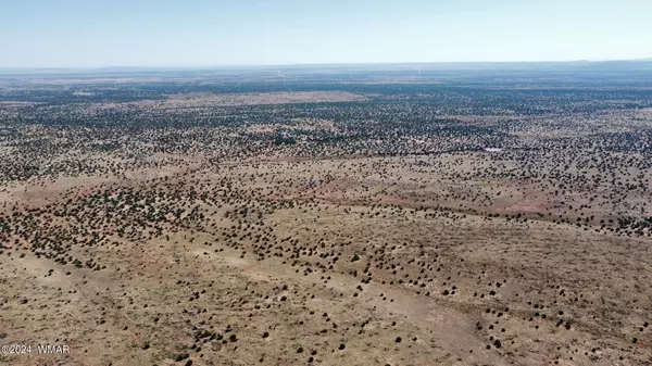 Snowflake, AZ 85937,9570 Buckskin Trail