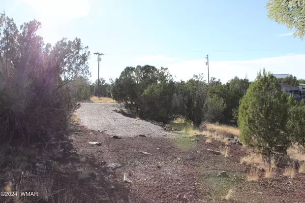 Show Low, AZ 85901,8364 Lakeside Drive