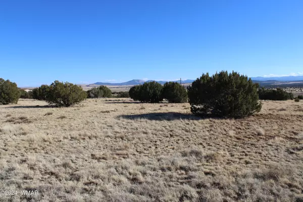 Concho, AZ 85924,23 County Road 8014