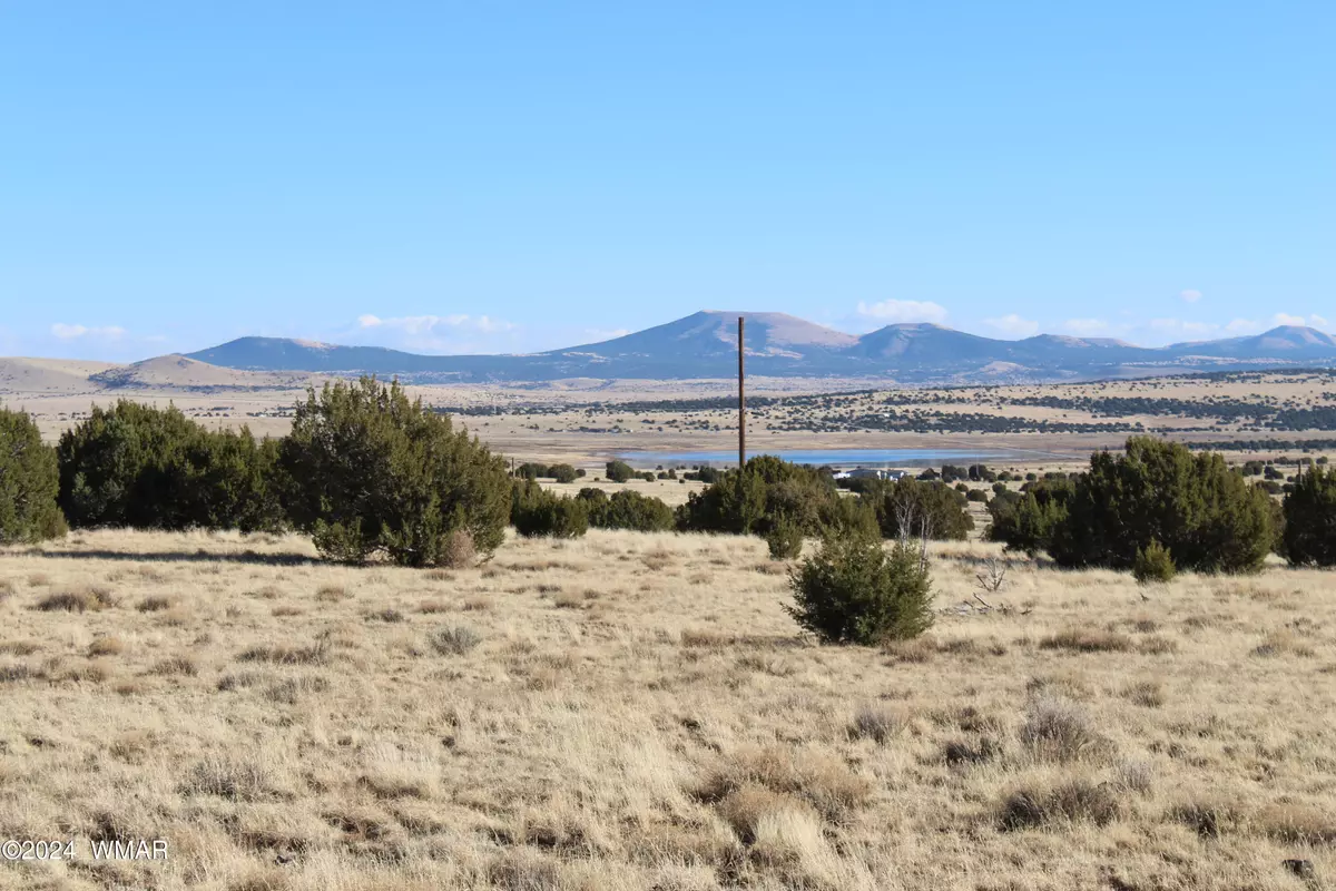 Concho, AZ 85924,23 County Road 8014