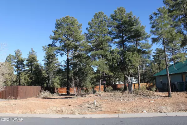 Show Low, AZ 85901,N Canyon Loop