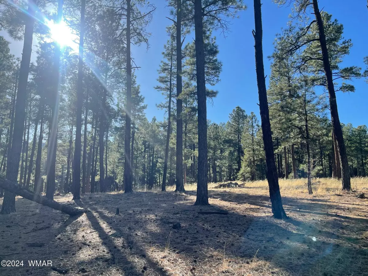 Alpine, AZ 85920,County Road N2147