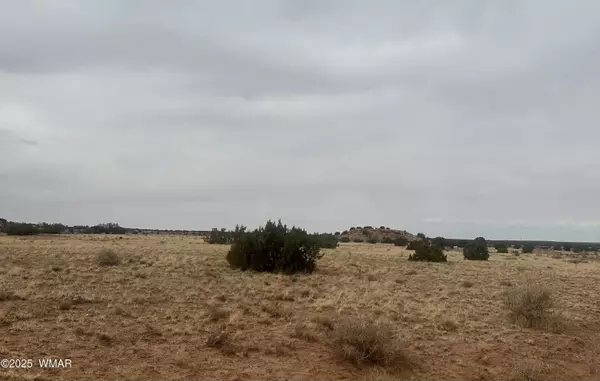 Concho, AZ 85924,N8543