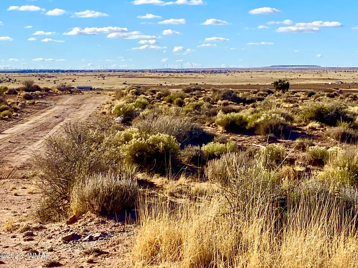 Snowflake, AZ 85937,8212 Holly Trail
