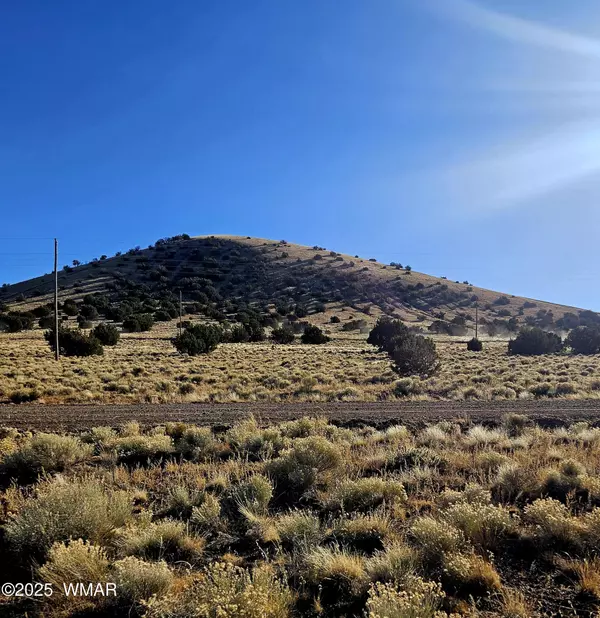 Concho, AZ 85924,95 Fig Dr Drive