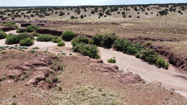 Concho, AZ 85924,565 County Rd 5270