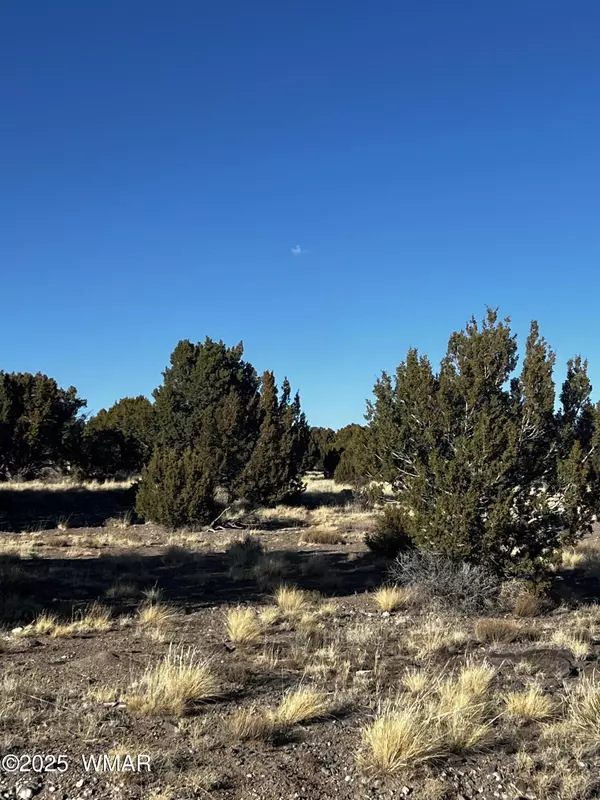 38 8626 Concho, AZ 85924