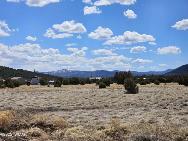 12 N 3132,  Vernon,  AZ 85940