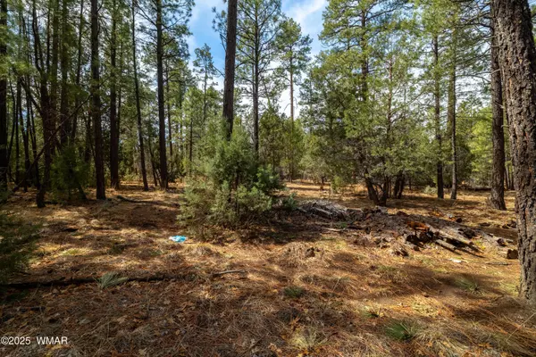 Lakeside, AZ 85929,Oxbow