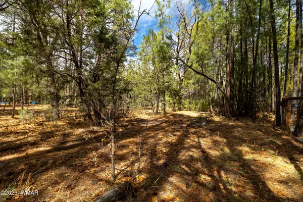 Lakeside, AZ 85929,Oxbow