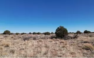 Snowflake, AZ 85937,5371 Valley Road
