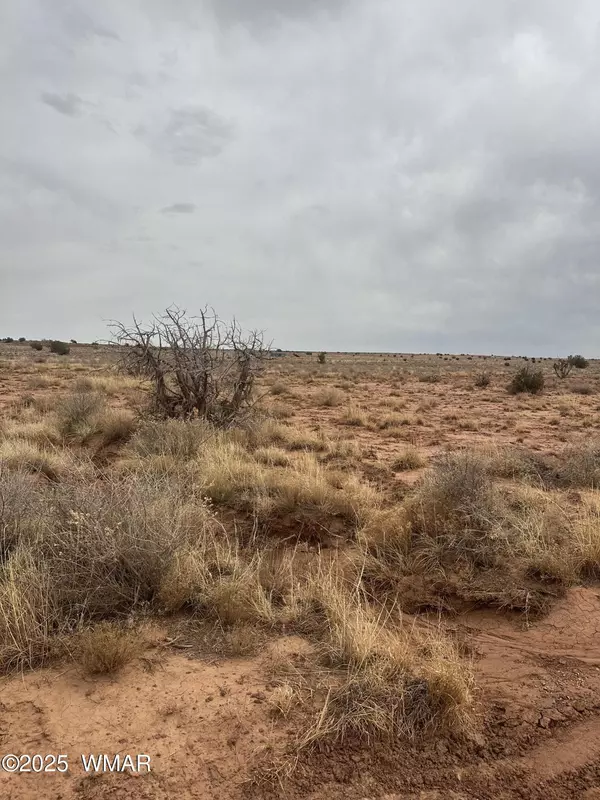 Snowflake, AZ 85937,5103 Windmill Lane