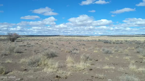 St. Johns, AZ 85936,Woodland Valley Ranch