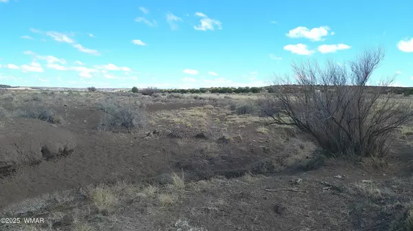 St. Johns, AZ 85936,Woodland Valley Ranch