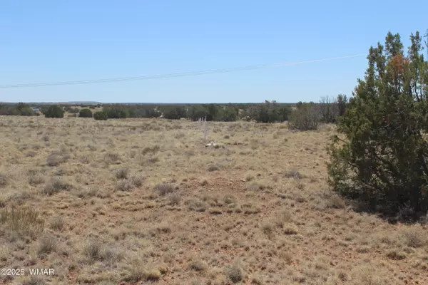 Heber, AZ 85928,5999 Mesa View Lot 149 Drive