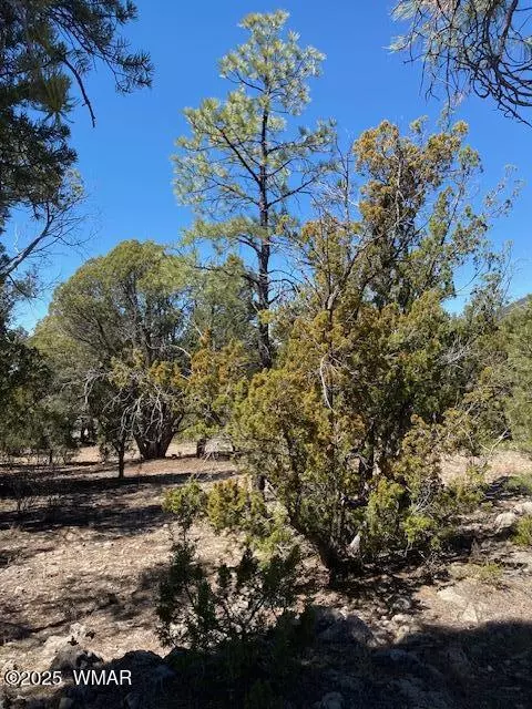 Show Low, AZ 85901,2580 N Eagle View Loop