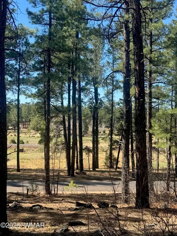 Pinetop, AZ 85935,9584 Sierra Springs Way
