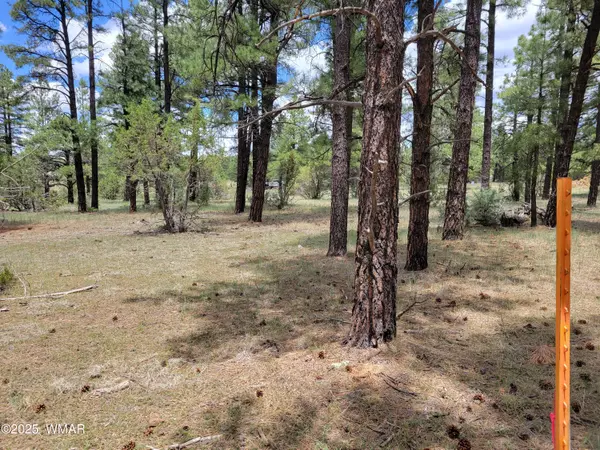 Lakeside, AZ 85929,Dynamite