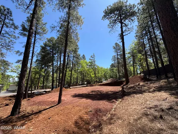 Pinetop, AZ 85935,4080 Skyline Terrace