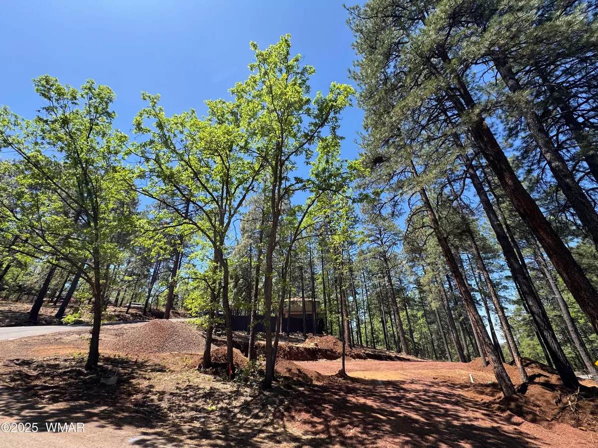 Pinetop, AZ 85935,4080 Skyline Terrace