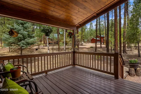 Alpine, AZ 85920,2 County Road 2069