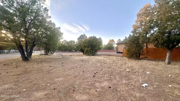 Show Low, AZ 85901,801 S Bushman Lane