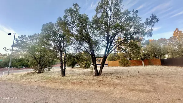 Show Low, AZ 85901,801 S Bushman Lane
