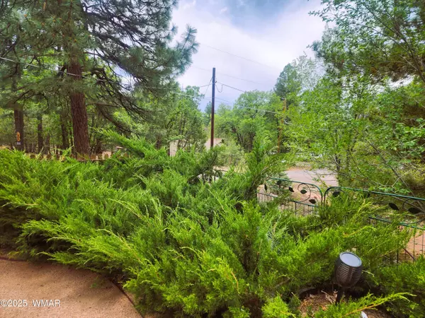 Lakeside, AZ 85929,2023 Parkinson Road