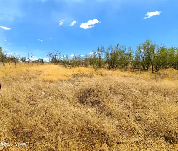 Springerville, AZ 85938,S Coconino Street